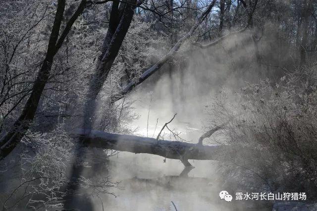 21岁赵今麦吻戏曝光！吴磊抱着亲到害羞，这画面你顶得住吗？