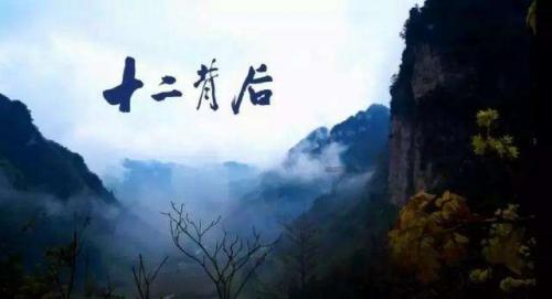 《幻兽帕鲁》帕鲁的生病治疗与预防
