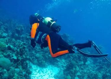 华为6x怎么把软件移到sd卡-打开知识星球的窗口
