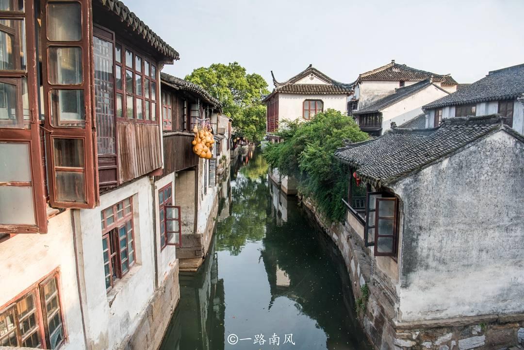 拯救小犀牛