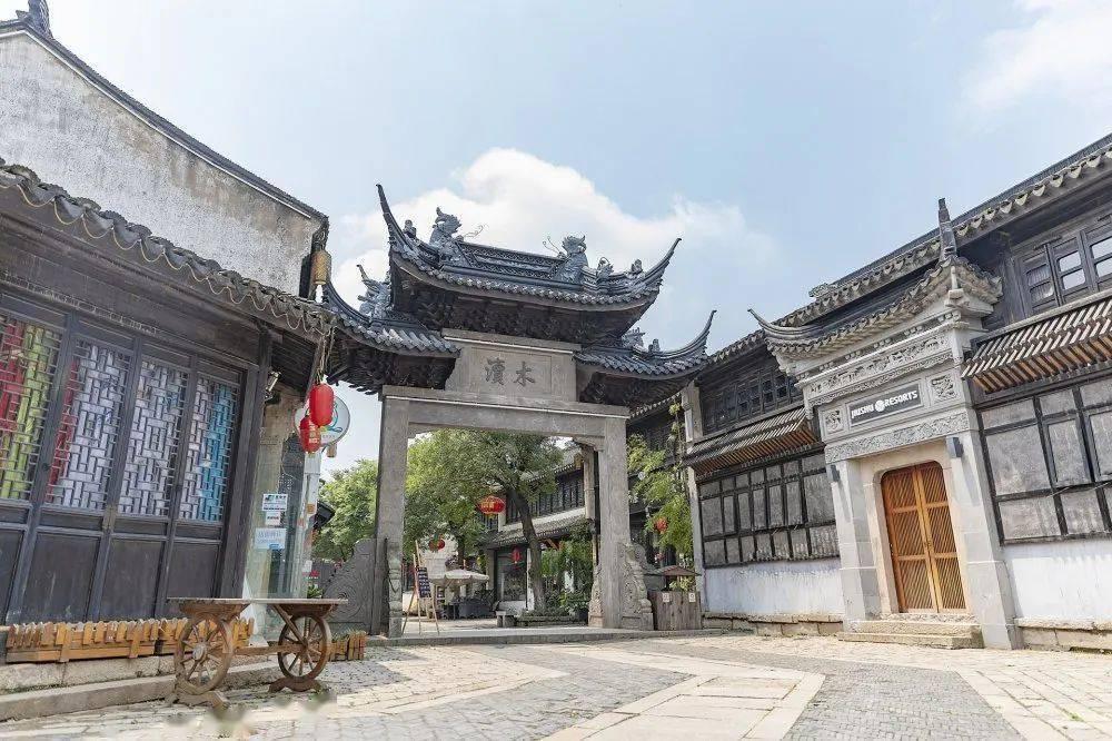 爱吃叶子的毛毛虫
