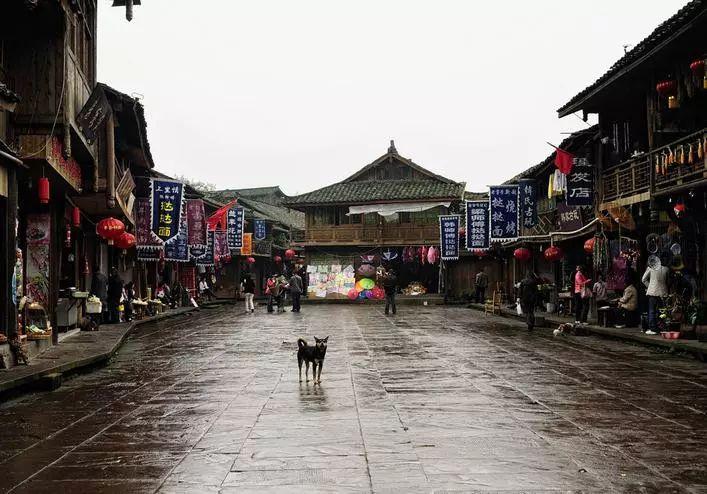 小红帽的冒险之旅